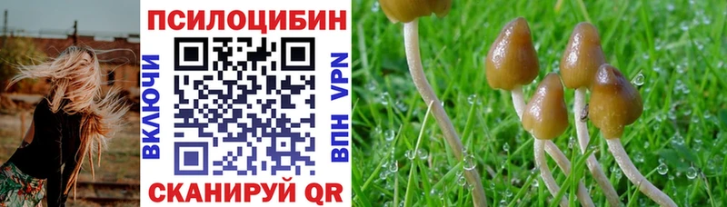 дарнет шоп  Мурино  Галлюциногенные грибы GOLDEN TEACHER 